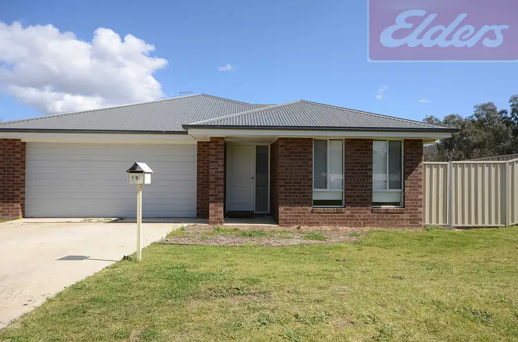 Main view of Homely house listing, 19 Bevington Bend, Lavington NSW 2641
