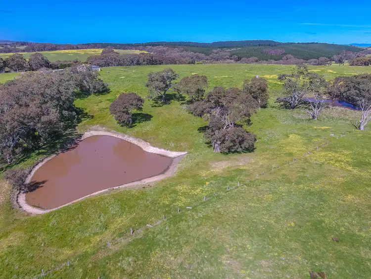Fifth view of Homely rural property listing, 46 Roads Lane, Inman Valley SA 5211