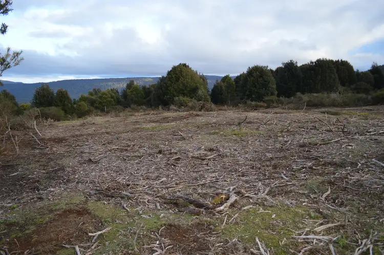 Main view of Homely land listing, Lot 3/4 Walker Street, Waratah TAS 7321