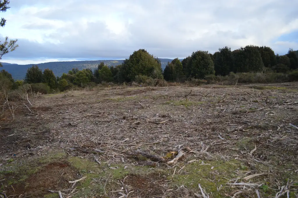 Main view of Homely land listing, Lot 3/4 Walker Street, Waratah TAS 7321
