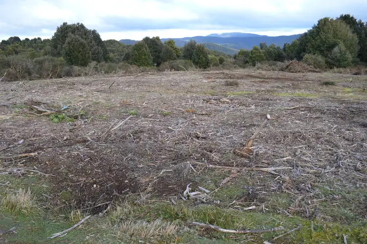 Third view of Homely land listing, Lot 3/4 Walker Street, Waratah TAS 7321