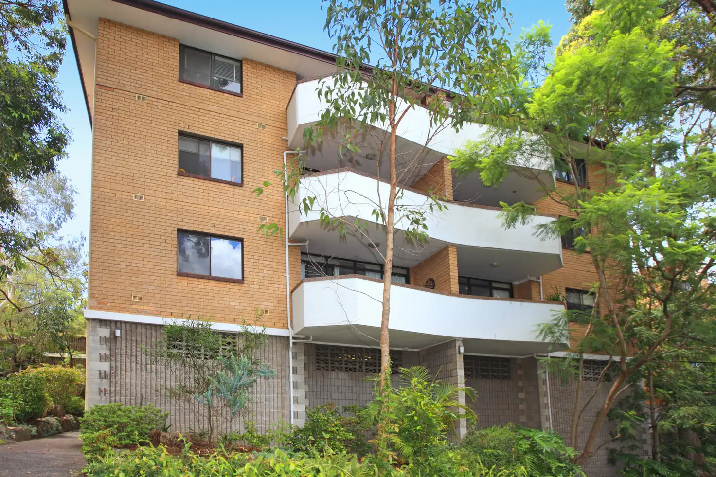 Main view of Homely apartment listing, 12/465 Willoughby Road, Willoughby NSW 2068