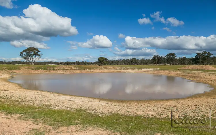 Fourth view of Homely rural property listing, End of Martins Road, Goornong VIC 3557