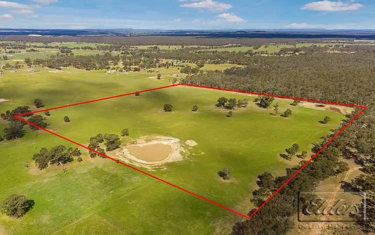 Fifth view of Homely rural property listing, End of Martins Road, Goornong VIC 3557