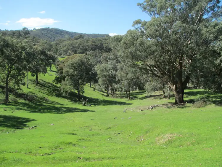 Second view of Homely rural property listing, 225 Thoms Lane, Thornton VIC 3712