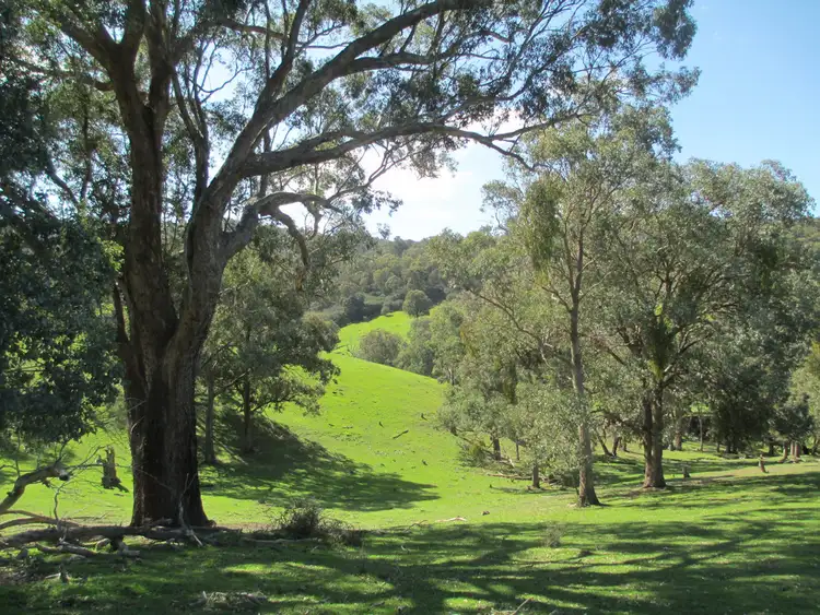 Fourth view of Homely rural property listing, 225 Thoms Lane, Thornton VIC 3712