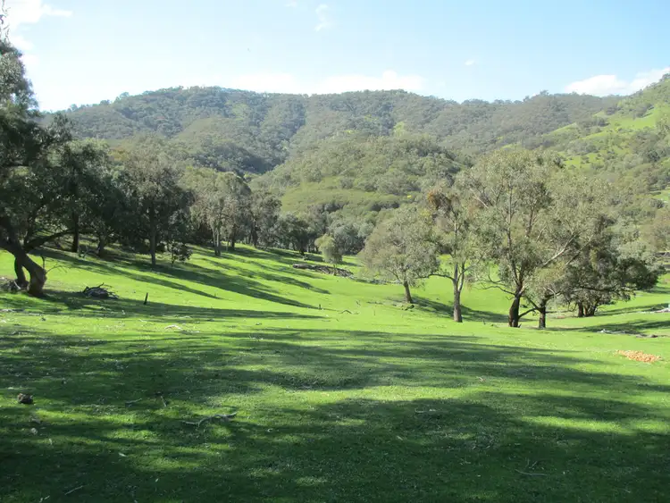 Sixth view of Homely rural property listing, 225 Thoms Lane, Thornton VIC 3712