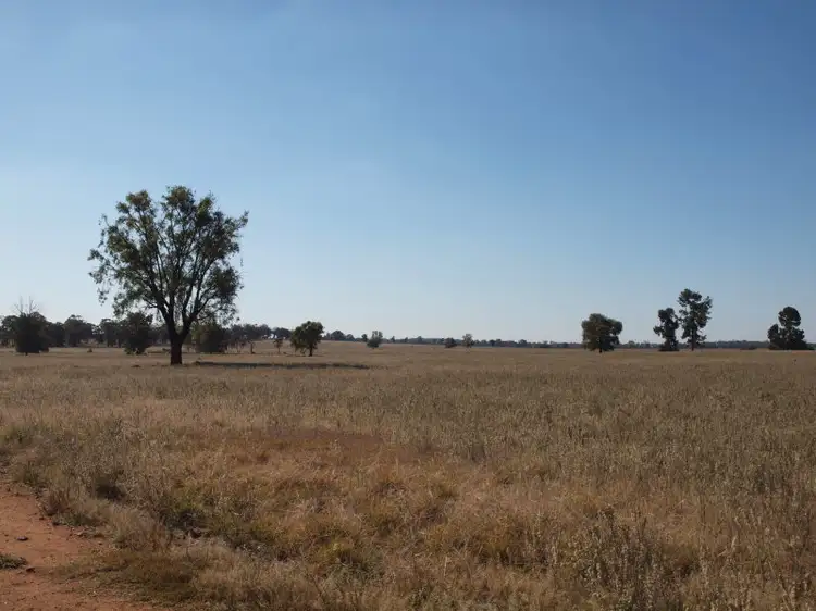 Second view of Homely rural property listing, - Pine Glen, West Wyalong NSW 2671