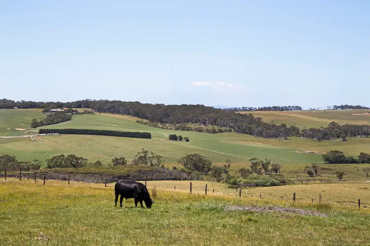 Third view of Homely rural property listing, 130 Whittingham Way, Koonwarra VIC 3954