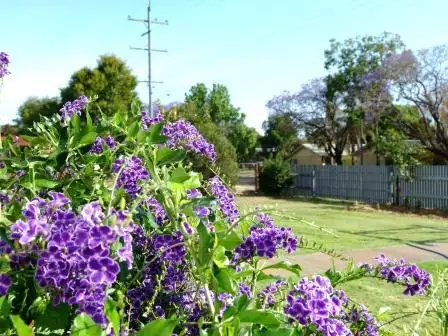 64 SCOTT STREET, St George QLD 4487
