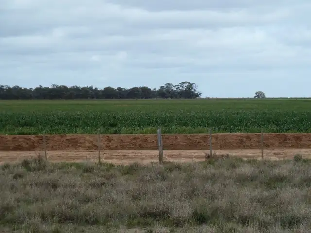 Sixth view of Homely rural property listing, - Barham-Deniliquin Rd, Caldwell NSW 2710