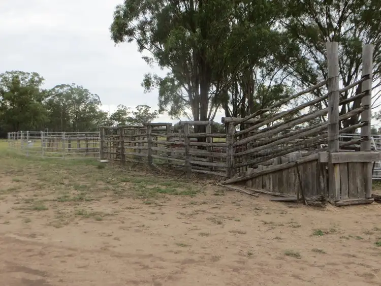 Second view of Homely rural property listing, 1958 ACRES GRAZING, Tara QLD 4421
