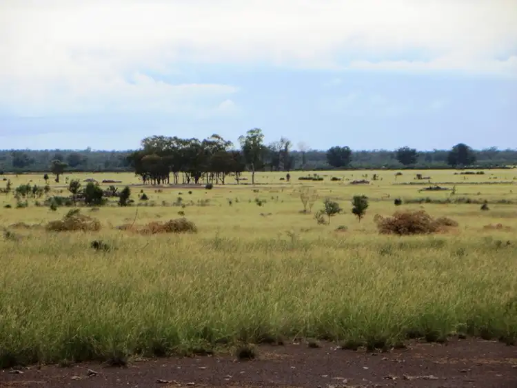 Third view of Homely rural property listing, 1958 ACRES GRAZING, Tara QLD 4421