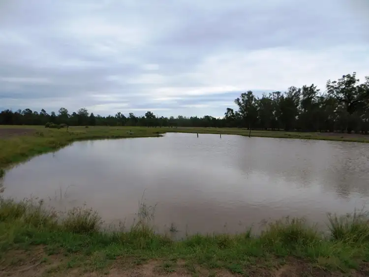 Fourth view of Homely rural property listing, 1958 ACRES GRAZING, Tara QLD 4421