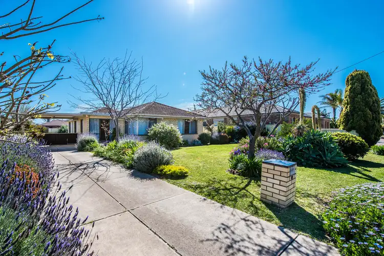 Second view of Homely house listing, 11 Ryan Avenue, Aldinga Beach SA 5173