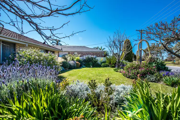 Fourth view of Homely house listing, 11 Ryan Avenue, Aldinga Beach SA 5173