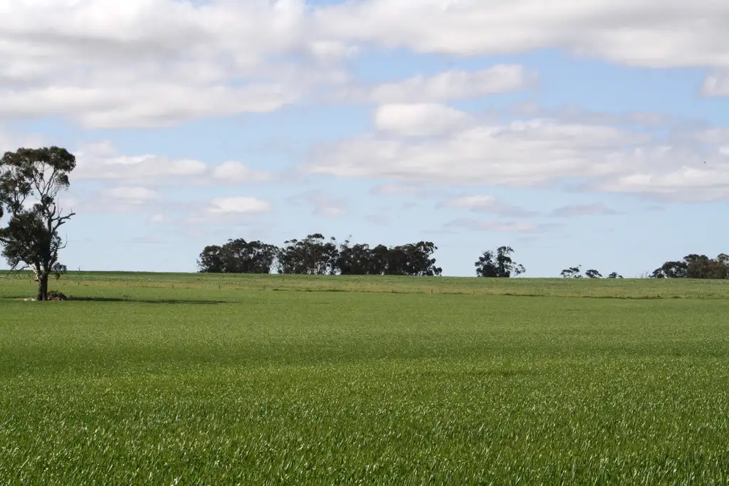 Main view of Homely rural property listing, 1099 Langley Road, Wolseley SA 5269