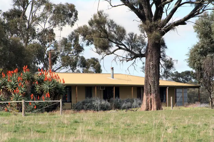 Second view of Homely rural property listing, 1099 Langley Road, Wolseley SA 5269