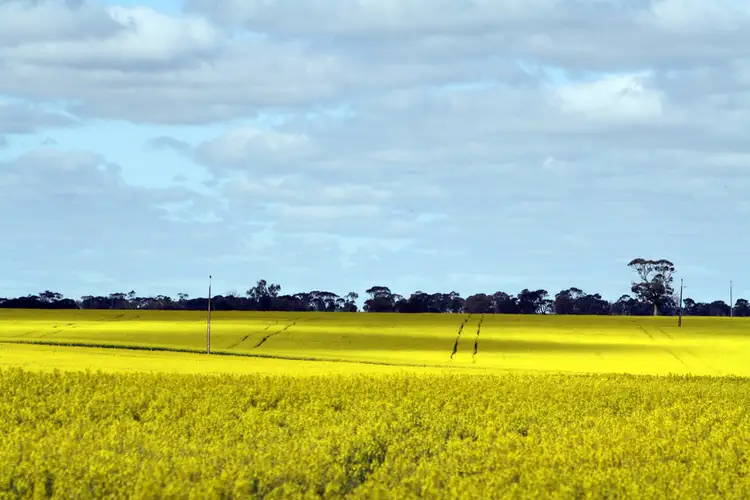Third view of Homely rural property listing, 1099 Langley Road, Wolseley SA 5269