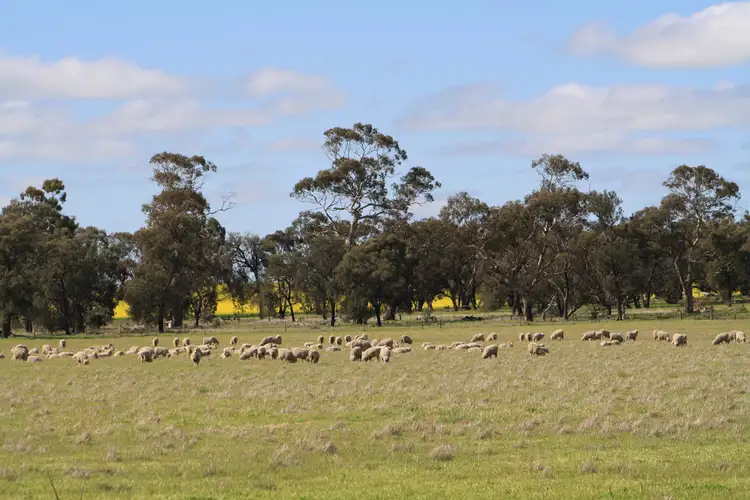 Fourth view of Homely rural property listing, 1099 Langley Road, Wolseley SA 5269