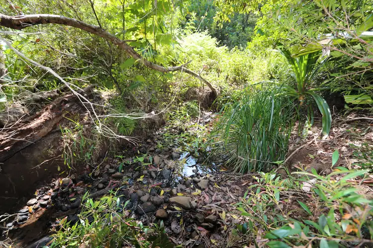 Second view of Homely land listing, 9 Tulsi Lane, Nimbin NSW 2480