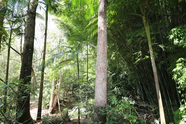 Fifth view of Homely land listing, 9 Tulsi Lane, Nimbin NSW 2480