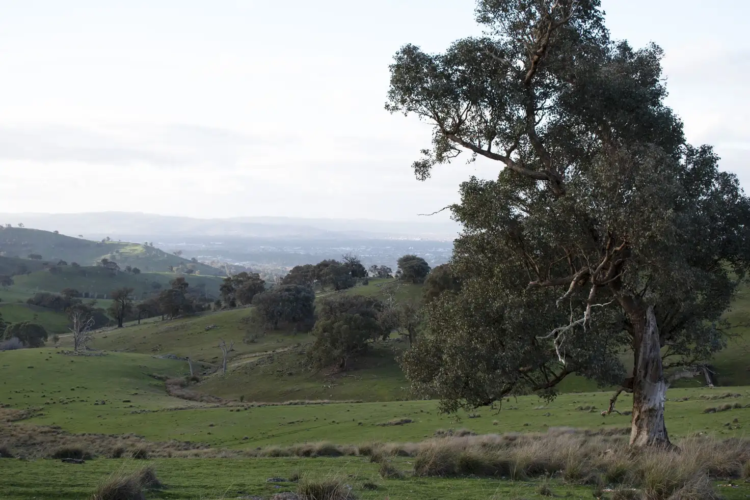 Main view of Homely rural property listing, * Ennis Road, Leneva VIC 3691