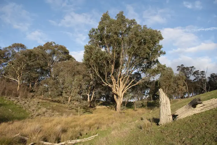 Third view of Homely rural property listing, * Ennis Road, Leneva VIC 3691