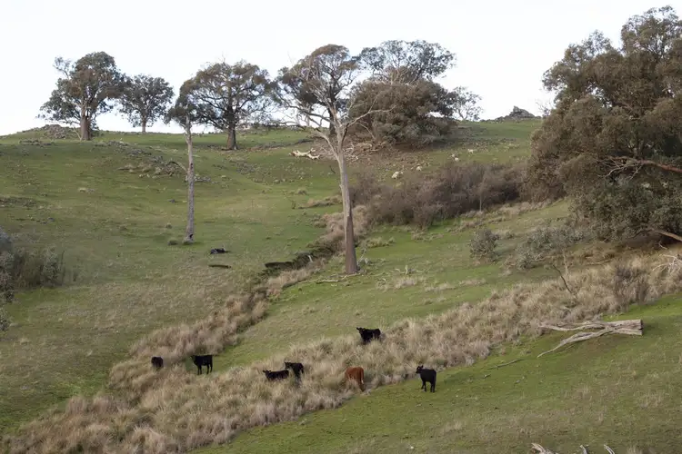 Fifth view of Homely rural property listing, * Ennis Road, Leneva VIC 3691