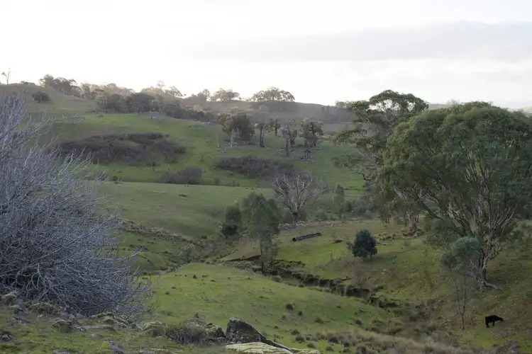 Sixth view of Homely rural property listing, * Ennis Road, Leneva VIC 3691