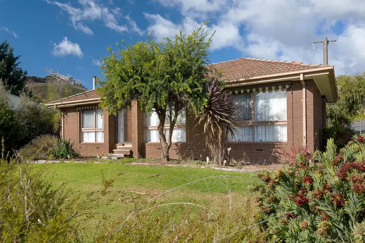 Main view of Homely house listing, 3816 Omeo Highway, Eskdale VIC 3701