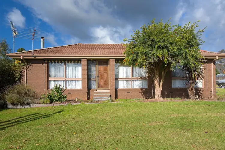Second view of Homely house listing, 3816 Omeo Highway, Eskdale VIC 3701