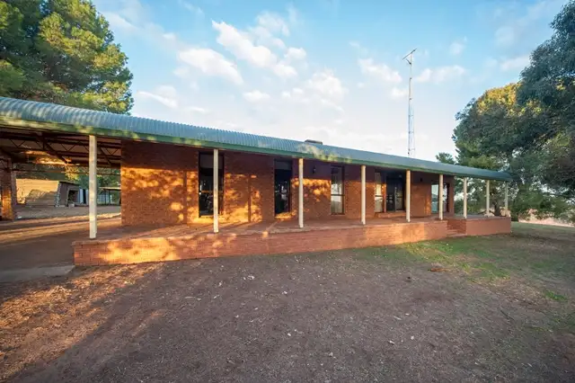 Main view of Homely house listing, 162 Paynter Siding Road, Narrandera NSW 2700