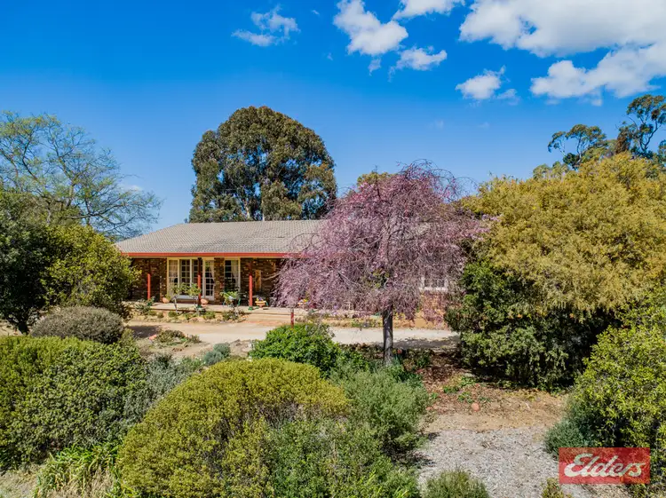 Main view of Homely rural property listing, 11 McCarthy Road, Armidale NSW 2350