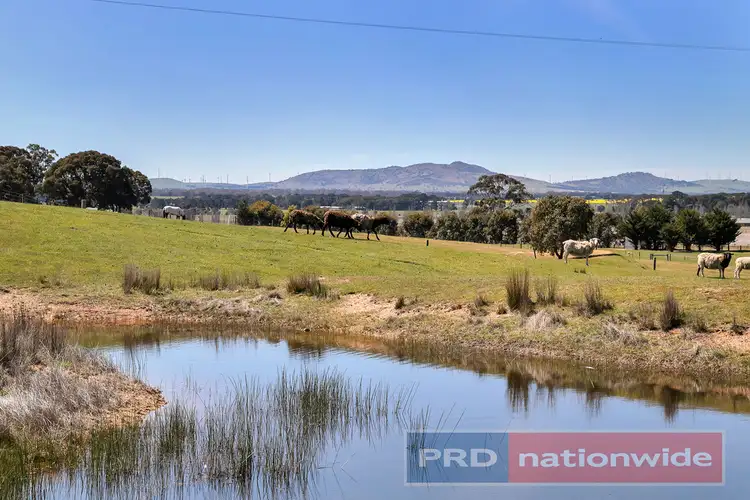 Second view of Homely house listing, 37 Tansey Court, Trawalla VIC 3373