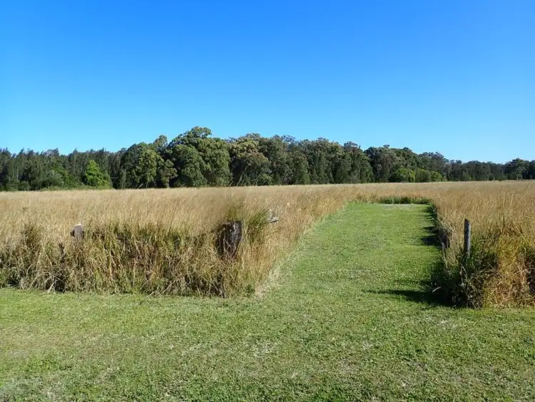 Main view of Homely rural property listing, 1542 Manning Point Road, Mitchells Island NSW 2430