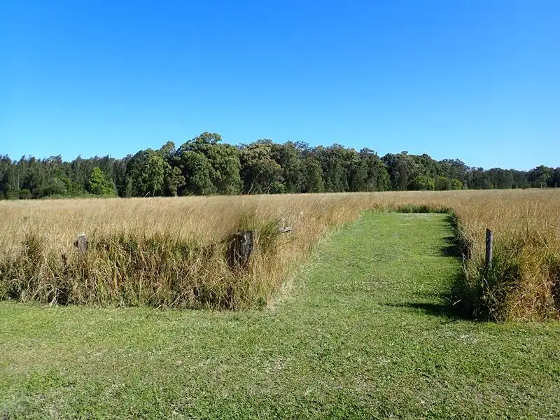 Main view of Homely rural property listing, 1542 Manning Point Road, Mitchells Island NSW 2430