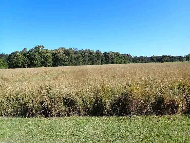 Third view of Homely rural property listing, 1542 Manning Point Road, Mitchells Island NSW 2430