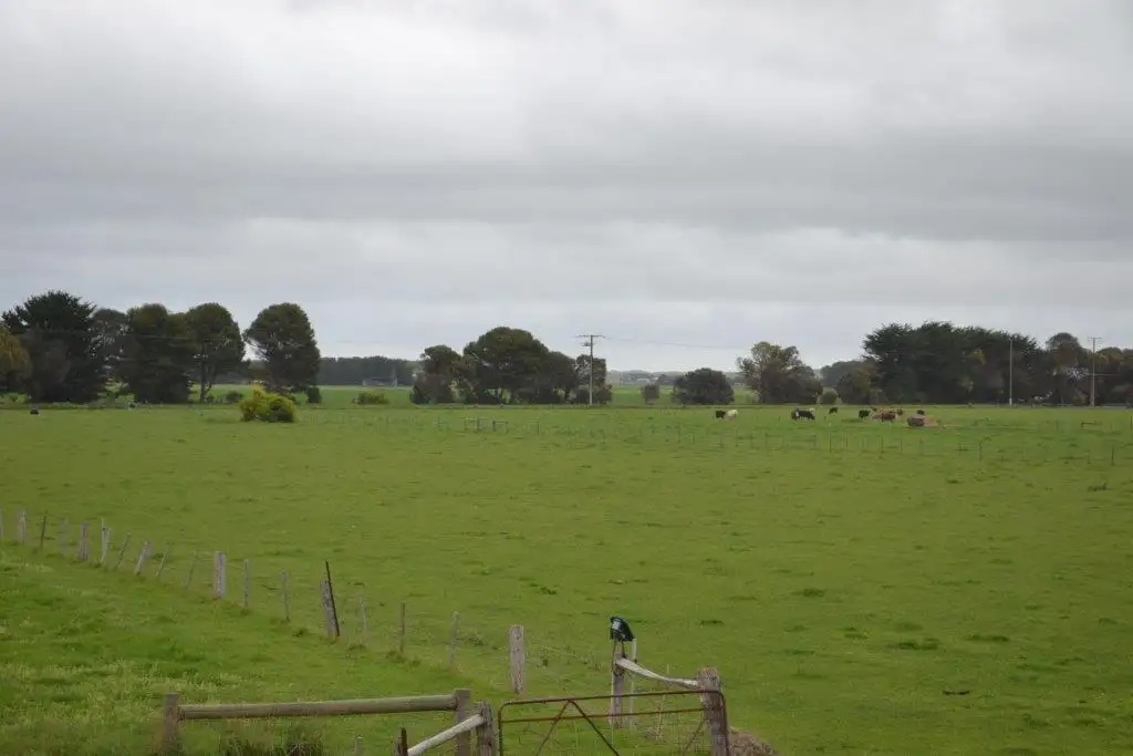 Main view of Homely land listing, Lot 16 Bellinger Street, Millicent SA 5280