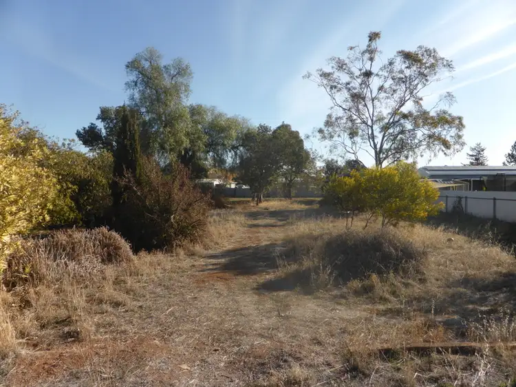 50 Boori Street, Peak Hill NSW 2869