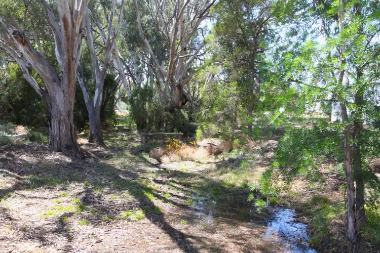 Fourth view of Homely land listing, 49 Wentworth Street, Wentworth NSW 2648