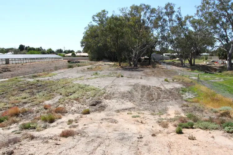 Sixth view of Homely land listing, 49 Wentworth Street, Wentworth NSW 2648