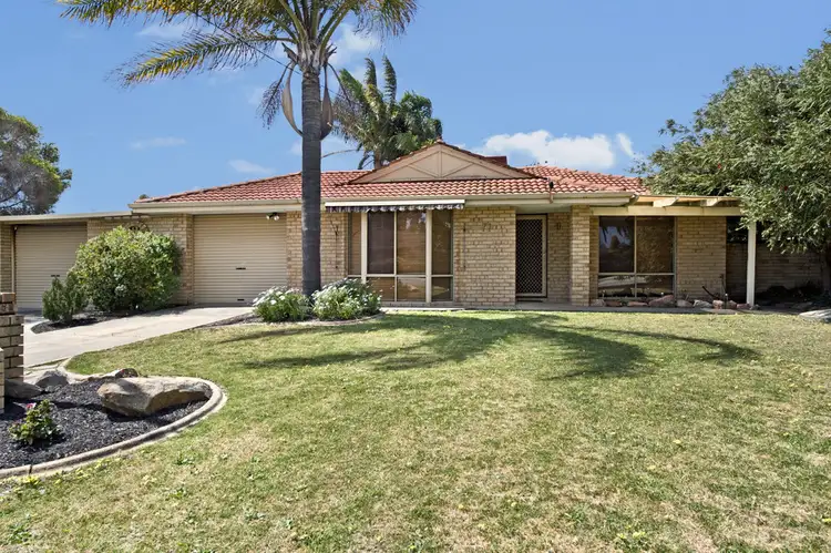 Main view of Homely house listing, 71 Mataitai Loop, Cooloongup WA 6168