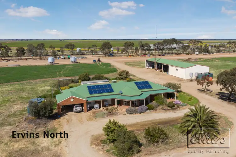 Main view of Homely rural property listing, 32 Ervins Road, Pyramid Hill VIC 3575