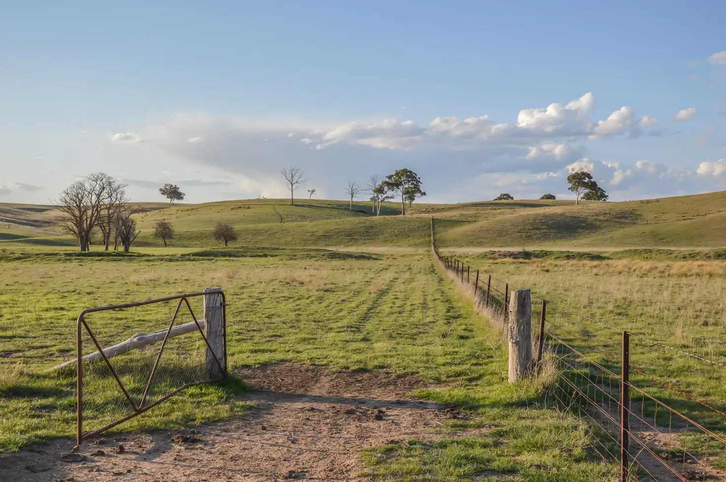 Main view of Homely rural property listing, 8250 Castlereagh Highway, Mudgee NSW 2850