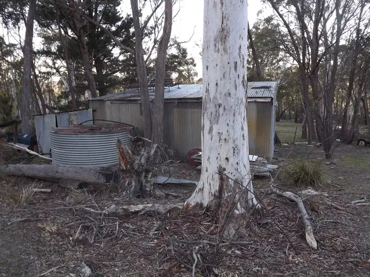 Seventh view of Homely rural property listing, 726 MCKILLOPS ROAD, Bonang VIC 3888