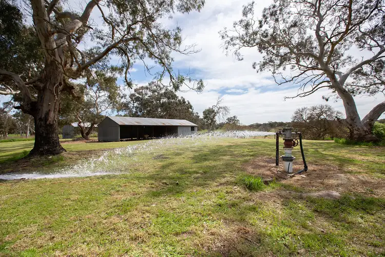 Third view of Homely rural property listing, 1979 Old Robe Road, Lucindale SA 5272