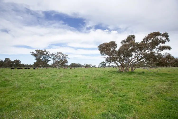 Sixth view of Homely rural property listing, 1979 Old Robe Road, Lucindale SA 5272