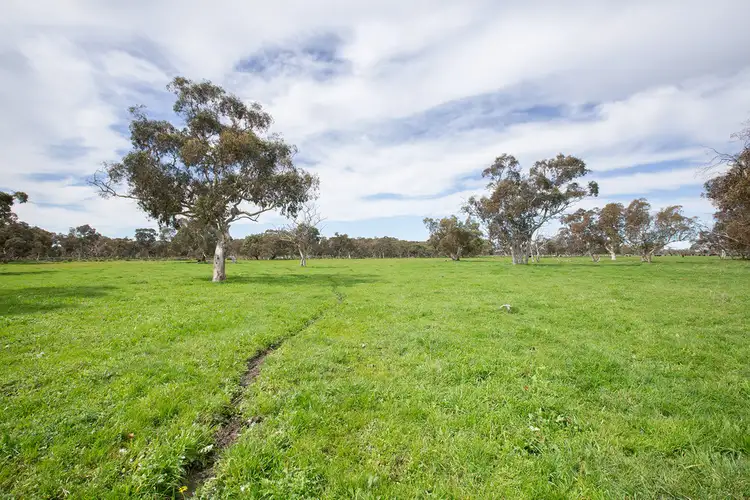 Seventh view of Homely rural property listing, 1979 Old Robe Road, Lucindale SA 5272