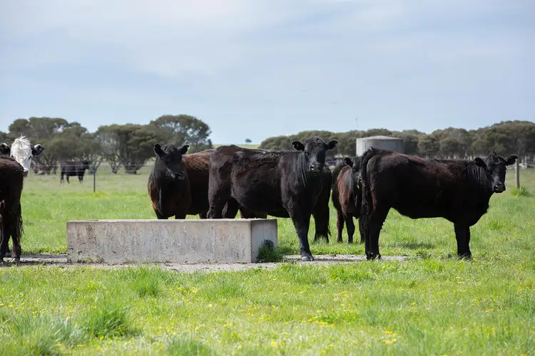 Third view of Homely rural property listing, Lot 100 Old Naracoorte Road, Robe SA 5276